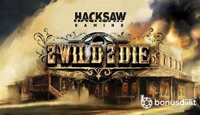 Maximize Your Wins with 2 Wild 2 Die Strategies Explained on Reddit