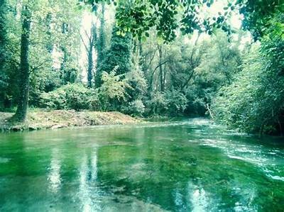 Exploring the Unique Features and Attractions of Cassino Uzu for Visitors