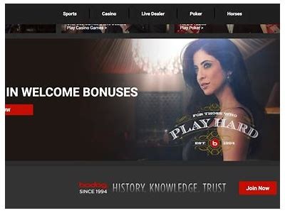 Contact willbet Sportsbook for Top-notch Customer Service