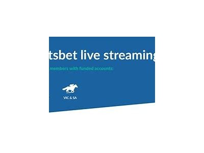 Willbet TV Live Streaming Platform for Sports Betting and Casino Games Entertainment