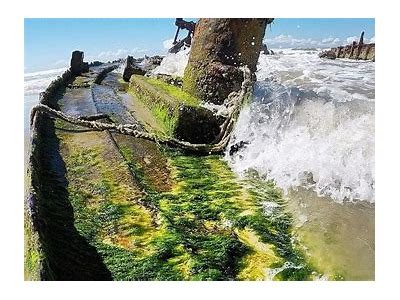 Explore Cassino: Discover Exciting Adventures with Just 1 Real in Brazil