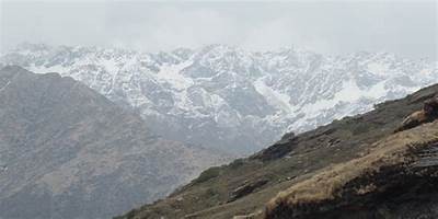 Conquer the Wildness of Life: Embrace Adventure and Fearlessness in 2wild2die Journey