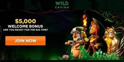 Explore Exciting Casino Games and Features on Willbet.com for Endless Fun